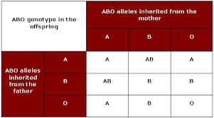 Blood Group & Genotype